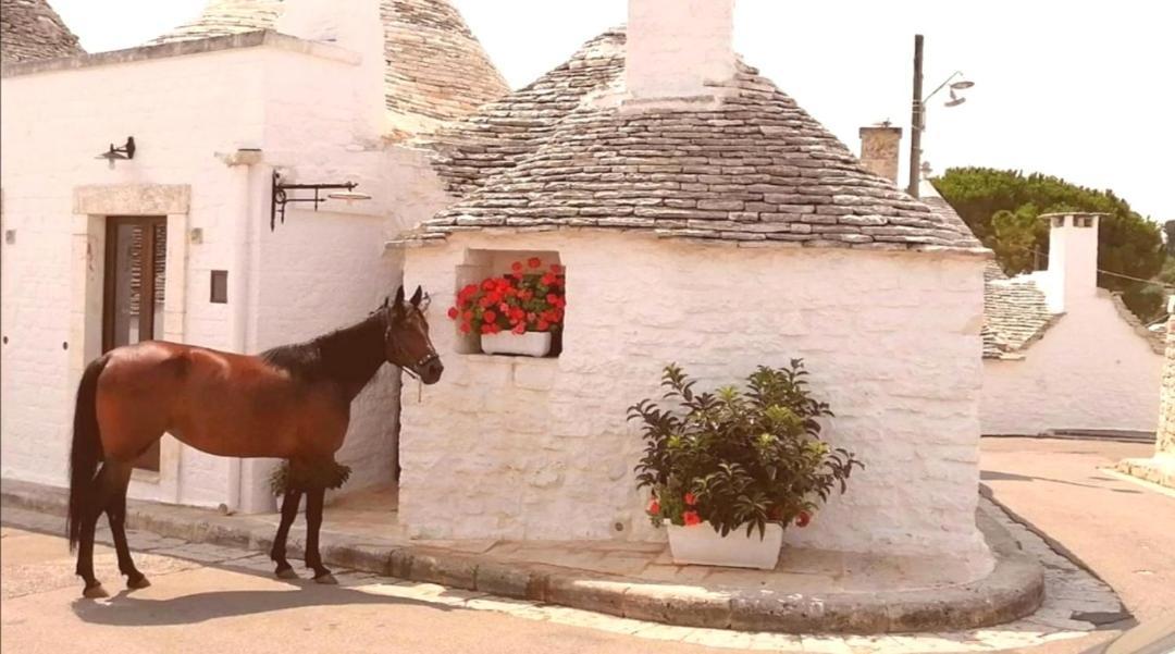 Trulli Resort Dimore Storiche Alberobello Eksteriør billede